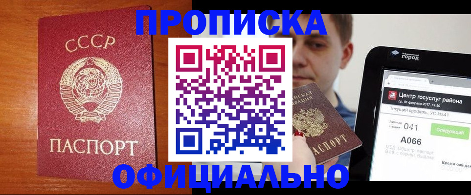 временная регистрация гарантия в Никольском